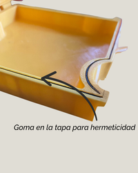 🧀 Caja Hermética para Queso 3