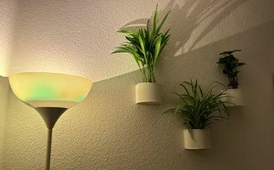 Macetero De Pared