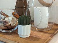 Salero & Pimentero Cactus 2