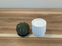 Salero & Pimentero Cactus 4